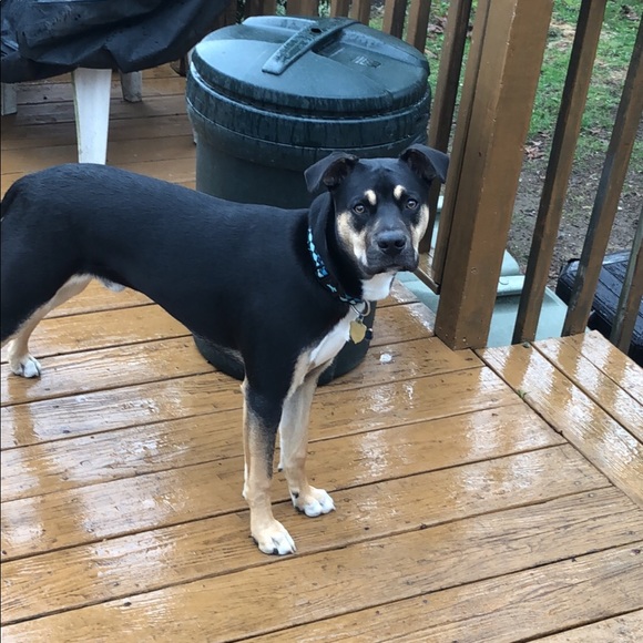 Meet your Posher, Jim - Picture 1 of 1